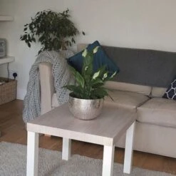 D-C-FIX - Rouleau Adhésif - 90 Cm X 2.1 M - Bois Chêne Santana Kalk 6 D-C-FIX - Rouleau Adhésif - 90 Cm X 2.1 M - Bois Chêne Santana Kalk -ATMOSPHERA || VIDAXL || Safavieh Soldes 13730382 2