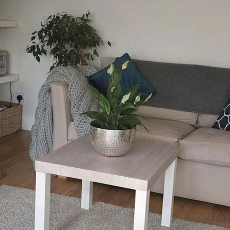 D-C-FIX - Rouleau Adhésif - 90 Cm X 2.1 M - Bois Chêne Santana Kalk 4 D-C-FIX - Rouleau Adhésif - 90 Cm X 2.1 M - Bois Chêne Santana Kalk – Image 2