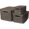 CURVER Lot De 3 Boîtes Avec Couvercle - 3 Caisses (6L+18L+30L) Avec Un Design Rotin Tressé Pour Salle De Bain, Chambre, Bureau - Poignées Ergonomiques - Marron Foncé 2 CURVER Lot De 3 Boîtes Avec Couvercle - 3 Caisses (6L+18L+30L) Avec Un Design Rotin Tressé Pour Salle De Bain, Chambre, Bureau - Poignées Ergonomiques - Marron Foncé -ATMOSPHERA || VIDAXL || Safavieh Soldes 19353737 1
