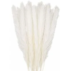 LITZEE 30 Pcs Herbe De La Pampa, 58 Cm Naturel Pampa Fleur Bouquet De Fleurs Sechees Pour Vases, Blanc Boho Decoration Chambre Maison Salon, Mariage Photographier Table Décoration