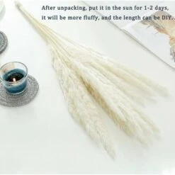 LITZEE 30 Pcs Herbe De La Pampa, 58 Cm Naturel Pampa Fleur Bouquet De Fleurs Sechees Pour Vases, Blanc Boho Decoration Chambre Maison Salon, Mariage Photographier Table Décoration -ATMOSPHERA || VIDAXL || Safavieh Soldes 29842420 3