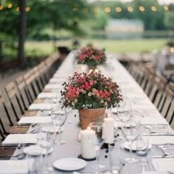 LITZEE 3 Pcs Fleurs Artificielles Marguerites Fleurs Artificielles Eucalyptus Plantes Artificielles Fleurs En Plastique Faux Fleurs Décoration Pour Balcon Jardin Pot Intérieur Vase Décoration 9 LITZEE 3 Pcs Fleurs Artificielles Marguerites Fleurs Artificielles Eucalyptus Plantes Artificielles Fleurs En Plastique Faux Fleurs Décoration Pour Balcon Jardin Pot Intérieur Vase Décoration -ATMOSPHERA || VIDAXL || Safavieh Soldes 30555921 3