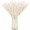 AIDUCHO Lot Séché Naturel D'herbe De Pampa Sèche Pour La Décoration Intérieure 20pcs (blanc)