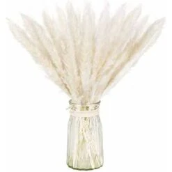 AIDUCHO Lot Séché Naturel D'herbe De Pampa Sèche Pour La Décoration Intérieure 20pcs (blanc)