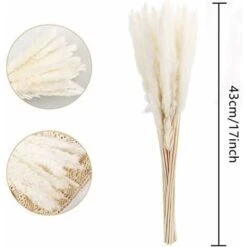 AIDUCHO Lot Séché Naturel D'herbe De Pampa Sèche Pour La Décoration Intérieure 20pcs (blanc) -ATMOSPHERA || VIDAXL || Safavieh Soldes 32529952 4