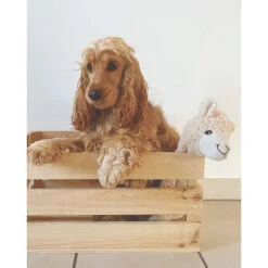 Boîte Naturelle Grande -ATMOSPHERA || VIDAXL || Safavieh Soldes 33149648 2