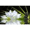Tableau Deco Ambiance Zen Et Fleur De Lotus - 80x50 Cm -ATMOSPHERA || VIDAXL || Safavieh Soldes 34555158 1