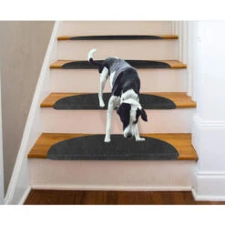 Aqrau Tapis D'escalier Auto-adhésif Noir 15 Pcs 65 21 4cm