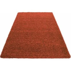 LIFE Tapis Shaggy Uni Poils Longs Tapis Salon Chambre Couloir (Terracotta - 60x110cm) -ATMOSPHERA || VIDAXL || Safavieh Soldes 42195549 5