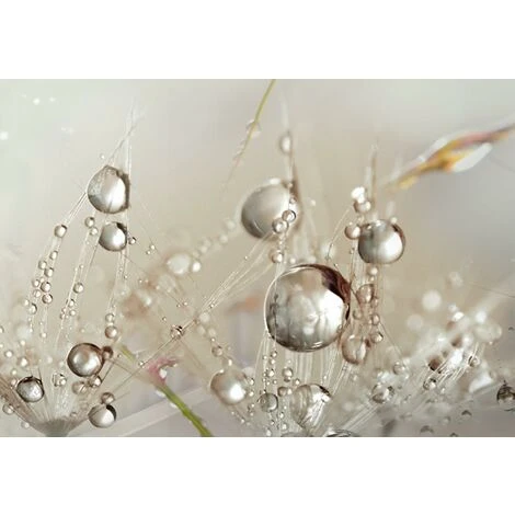 Décor à La Maison Impression Sur Toile Peinture Art Mural Perles De Rosée à La Maison Blowball ,Impression Sur Toile Intissee 90x30 Cm ,Guazhuni 1 Piece (sans Cadre) 5 Décor à La Maison Impression Sur Toile Peinture Art Mural Perles De Rosée à La Maison Blowball ,Impression Sur Toile Intissee 90x30 Cm ,Guazhuni 1 Piece (sans Cadre) – Image 3