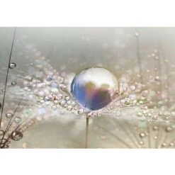 Décor à La Maison Impression Sur Toile Peinture Art Mural Perles De Rosée à La Maison Blowball ,Impression Sur Toile Intissee 90x30 Cm ,Guazhuni 1 Piece (sans Cadre) 10 Décor à La Maison Impression Sur Toile Peinture Art Mural Perles De Rosée à La Maison Blowball ,Impression Sur Toile Intissee 90x30 Cm ,Guazhuni 1 Piece (sans Cadre) -ATMOSPHERA || VIDAXL || Safavieh Soldes 43480465 4