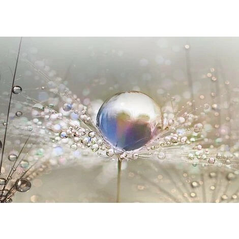 Décor à La Maison Impression Sur Toile Peinture Art Mural Perles De Rosée à La Maison Blowball ,Impression Sur Toile Intissee 90x30 Cm ,Guazhuni 1 Piece (sans Cadre) 6 Décor à La Maison Impression Sur Toile Peinture Art Mural Perles De Rosée à La Maison Blowball ,Impression Sur Toile Intissee 90x30 Cm ,Guazhuni 1 Piece (sans Cadre) – Image 4