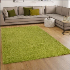 Paco Home Tapis Shaggy Longues Mèches En Vert Tapis Shaggy Longues Mèches En Vert 60x100 Cm