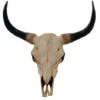 Tête De Taureau Décoration Murale 45cm Trophée Longhorn En Polyrésine Intérieur/extérieur Naturel -ATMOSPHERA || VIDAXL || Safavieh Soldes 67803331 1