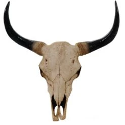 Tête De Taureau Décoration Murale 45cm Trophée Longhorn En Polyrésine Intérieur/extérieur Naturel