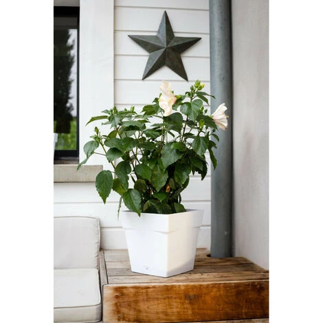 Pot Carré Toscane Avec Réserve D'eau 3.4L - 18x18cm - Rouge Rubis - EDA Plastiques 4 Pot Carré Toscane Avec Réserve D'eau 3.4L - 18x18cm - Rouge Rubis - EDA Plastiques – Image 2