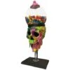 SEENLIN Bubble Gum Machine Coloré Crâne Bonbons Distributeur Halloween Ornement De Bureau Pour La Maison Salon