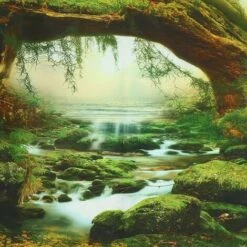 Tapisserie Murale - Forêt Psychédélique - Lumière Du Soleil Claire - Tenture - Paysage - Jungle Bohémienne - Art Mural - Décor (200 X 150 CM) 11 Tapisserie Murale - Forêt Psychédélique - Lumière Du Soleil Claire - Tenture - Paysage - Jungle Bohémienne - Art Mural - Décor (200 X 150 CM) -ATMOSPHERA || VIDAXL || Safavieh Soldes 78939281 5