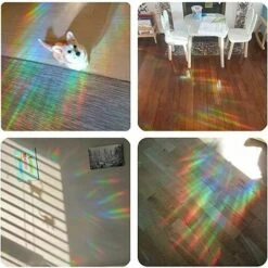 24pcs Autocollants De Fenêtre Anti-Collision Translucides Stickers Anti Collision Oiseaux Statique Stickers Vitres Fenetres Oiseaux Autocollants D'Alerte Anti-Collision Pour Fenêtre Et Porte En Verre -ATMOSPHERA || VIDAXL || Safavieh Soldes 81195614 5