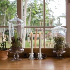 Bougeoirs En Vrac - 12PCS Bougeoirs Coniques Pour Centre De Table - Bougeoirs En Verre épais Pour Mariage, Fête Et Décoration De Festival 11 Bougeoirs En Vrac - 12PCS Bougeoirs Coniques Pour Centre De Table - Bougeoirs En Verre épais Pour Mariage, Fête Et Décoration De Festival -ATMOSPHERA || VIDAXL || Safavieh Soldes 81296315 5