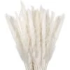 Herbe De La Pampa Sechees Decoration Lot De 30,Fleurs Séchées Naturelles 45cm Blanche, Fleur De Pampa Pour Deco Salon,Chambre, Interieur,Maison,Cuisine,Domicile,Balcon (Vase Non Inclus) -ATMOSPHERA || VIDAXL || Safavieh Soldes 88773394 1