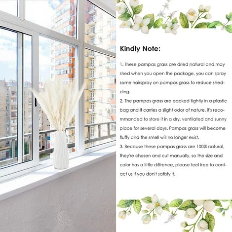 Herbe De La Pampa Sechees Decoration Lot De 30,Fleurs Séchées Naturelles 45cm Blanche, Fleur De Pampa Pour Deco Salon,Chambre, Interieur,Maison,Cuisine,Domicile,Balcon (Vase Non Inclus) 7 Herbe De La Pampa Sechees Decoration Lot De 30,Fleurs Séchées Naturelles 45cm Blanche, Fleur De Pampa Pour Deco Salon,Chambre, Interieur,Maison,Cuisine,Domicile,Balcon (Vase Non Inclus) – Image 5