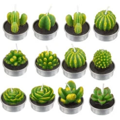 12 Bougies De Cactus, Bougies Succulentes De Plantes Artificielles, Bougies De Cire De Thé De La Saint-Valentin Pour Les Fêtes, Mariages, Spas, Cadeaux De Décoration Pour La MaisonUN 9 12 Bougies De Cactus, Bougies Succulentes De Plantes Artificielles, Bougies De Cire De Thé De La Saint-Valentin Pour Les Fêtes, Mariages, Spas, Cadeaux De Décoration Pour La MaisonUN -ATMOSPHERA || VIDAXL || Safavieh Soldes 88773399 3