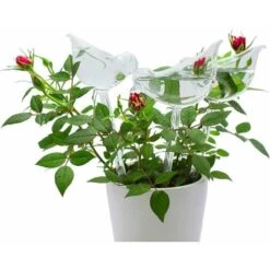 6 Globes D'arrosage En PVC Avec Pointes D'auto-arrosage En Forme D'oiseau Pour Plantes Intérieur Et Extérieur 9 6 Globes D'arrosage En PVC Avec Pointes D'auto-arrosage En Forme D'oiseau Pour Plantes Intérieur Et Extérieur -ATMOSPHERA || VIDAXL || Safavieh Soldes 90282394 3
