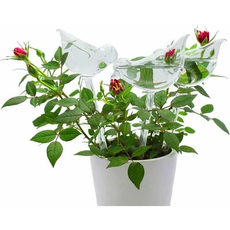 6 Globes D'arrosage En PVC Avec Pointes D'auto-arrosage En Forme D'oiseau Pour Plantes Intérieur Et Extérieur 5 6 Globes D'arrosage En PVC Avec Pointes D'auto-arrosage En Forme D'oiseau Pour Plantes Intérieur Et Extérieur – Image 3