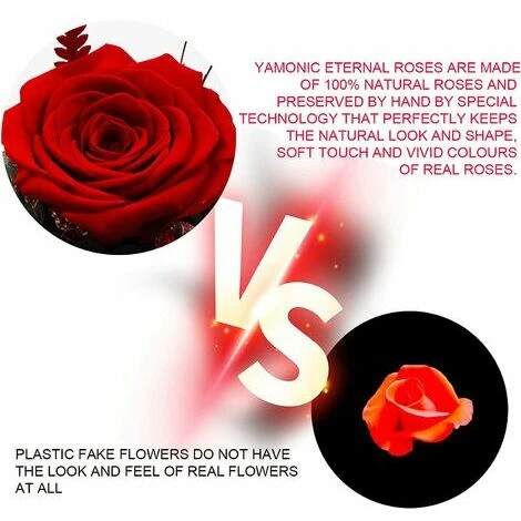 Rose Eternelle Sous Dme Ange, Cadeau Maman, Fleurs Eternelles Avec Ange Figurine,Cadeau Fete Des Meres,Vraie Rose Avec Ange Gardien,Cadeau Anniversaire Femme,Cadeau Femme,Rouge 5 Rose Eternelle Sous Dme Ange, Cadeau Maman, Fleurs Eternelles Avec Ange Figurine,Cadeau Fete Des Meres,Vraie Rose Avec Ange Gardien,Cadeau Anniversaire Femme,Cadeau Femme,Rouge – Image 3