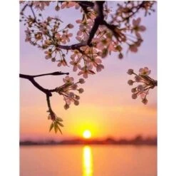 Diamond Painting DIY Broderie Diamant Kit Complet Peinture Diamant 5d Complet Kits Salon Chambre Décoration, 30x40cm-A -ATMOSPHERA || VIDAXL || Safavieh Soldes 96341038 3