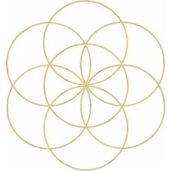 8pcs Anneaux Attrape-rêves Cerceaux En Métal Anneau En Macramé Pour L'artisanat, Macramé Et Attrape-rêves Fournitures, Or