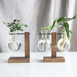 Cadre En Bois Créatif Vase Hydroponique Plante D'ananas Vert Arrangement De Fleurs En Verre Transparent Récipient Ornement De Table Produits De Décoration Ménagère -ATMOSPHERA || VIDAXL || Safavieh Soldes 97797105 3