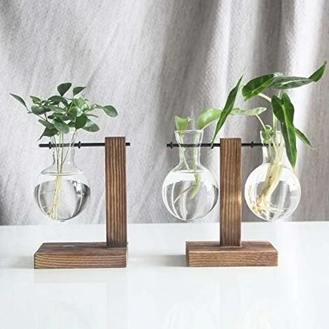 LECHUANG Cadre En Bois Créatif Vase Hydroponique Plante D'ananas Vert Arrangement De Fleurs En Verre Transparent Récipient Ornement De Table Produits De Décoration Ménagère 5 LECHUANG Cadre En Bois Créatif Vase Hydroponique Plante D'ananas Vert Arrangement De Fleurs En Verre Transparent Récipient Ornement De Table Produits De Décoration Ménagère – Image 3