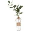 Vase Avec Eucalyptus - Atmosphera Créateur D'intérieur -ATMOSPHERA || VIDAXL || Safavieh Soldes 98556080 1