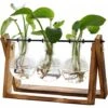 Plante Avec Support En Bois, Pot De Fleurs En Verre, Support Pivotant En Métal, Table Rétro Pour Culture Hydroponique, Maison, Jardin, Bureau, Décoration - Vase à 3 Ampoules