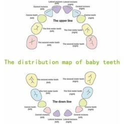 LECHUANG Boîte De Rangement Pour Les Enfants Et Les Filles, Boîte à Dents De Lait, Boîte De Rangement En Bois, Boîte De Rangement Pour Bébé (fille) 10 LECHUANG Boîte De Rangement Pour Les Enfants Et Les Filles, Boîte à Dents De Lait, Boîte De Rangement En Bois, Boîte De Rangement Pour Bébé (fille) -ATMOSPHERA || VIDAXL || Safavieh Soldes 99597703 4