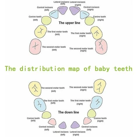 LECHUANG Boîte De Rangement Pour Les Enfants Et Les Filles, Boîte à Dents De Lait, Boîte De Rangement En Bois, Boîte De Rangement Pour Bébé (fille) 6 LECHUANG Boîte De Rangement Pour Les Enfants Et Les Filles, Boîte à Dents De Lait, Boîte De Rangement En Bois, Boîte De Rangement Pour Bébé (fille) – Image 4